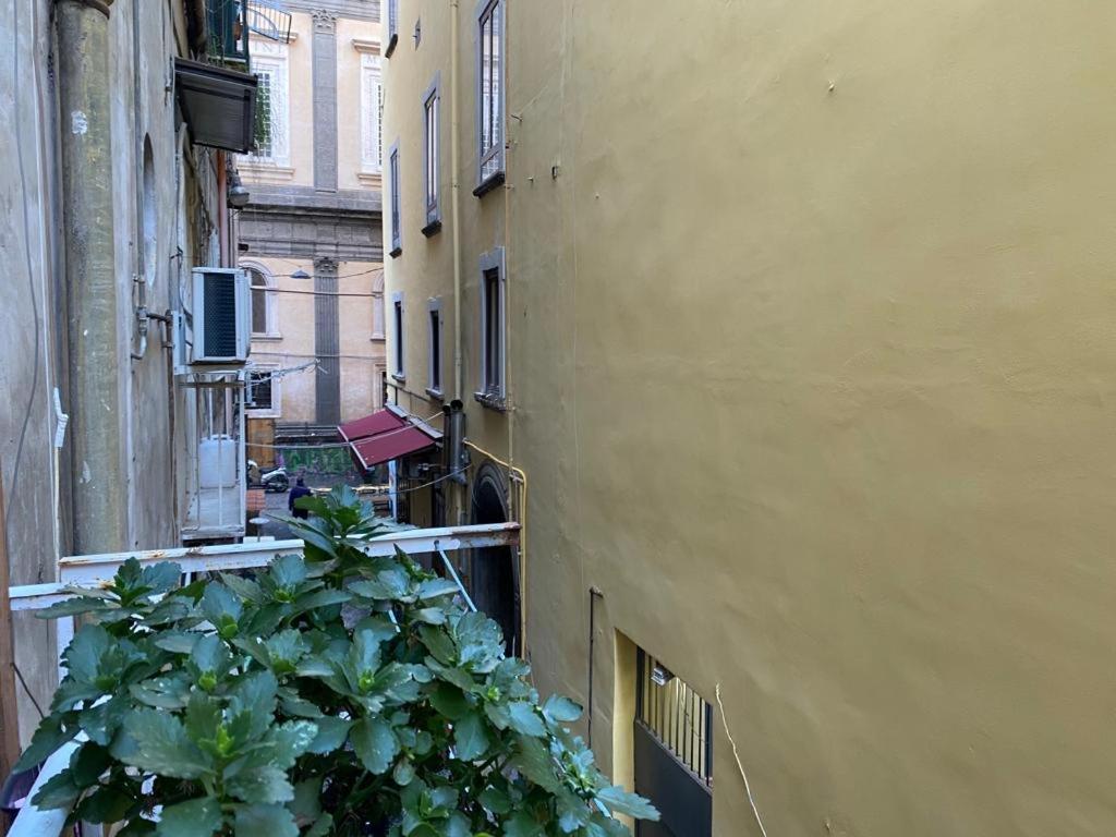 O' Presepe 24 Villa Napoli Eksteriør billede